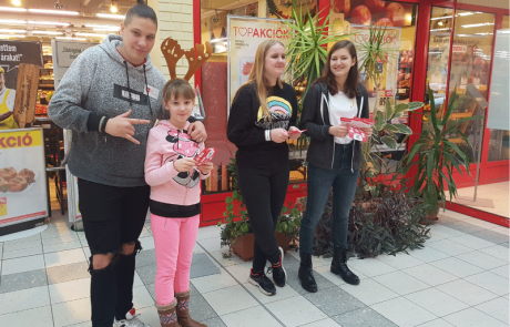 group2_800x650 cserekor