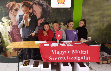 group3_800x650 cserekor